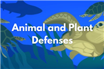 animal and plant defenses 